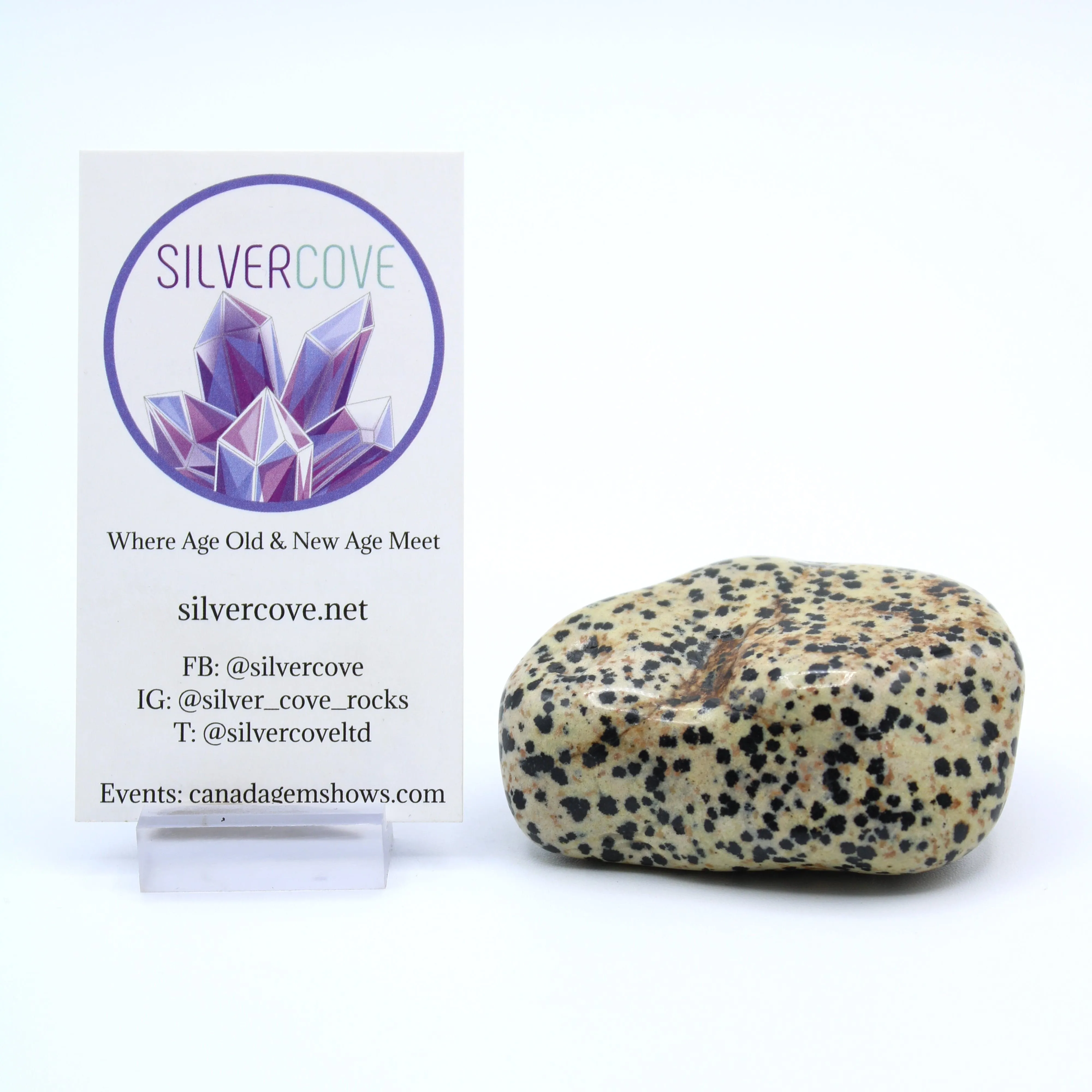 Dalmatian Jasper Free-Form