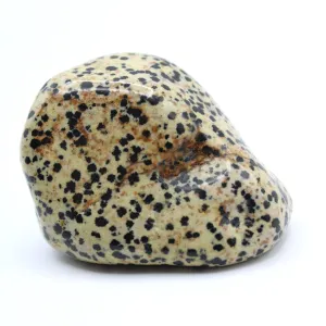 Dalmatian Jasper Free-Form