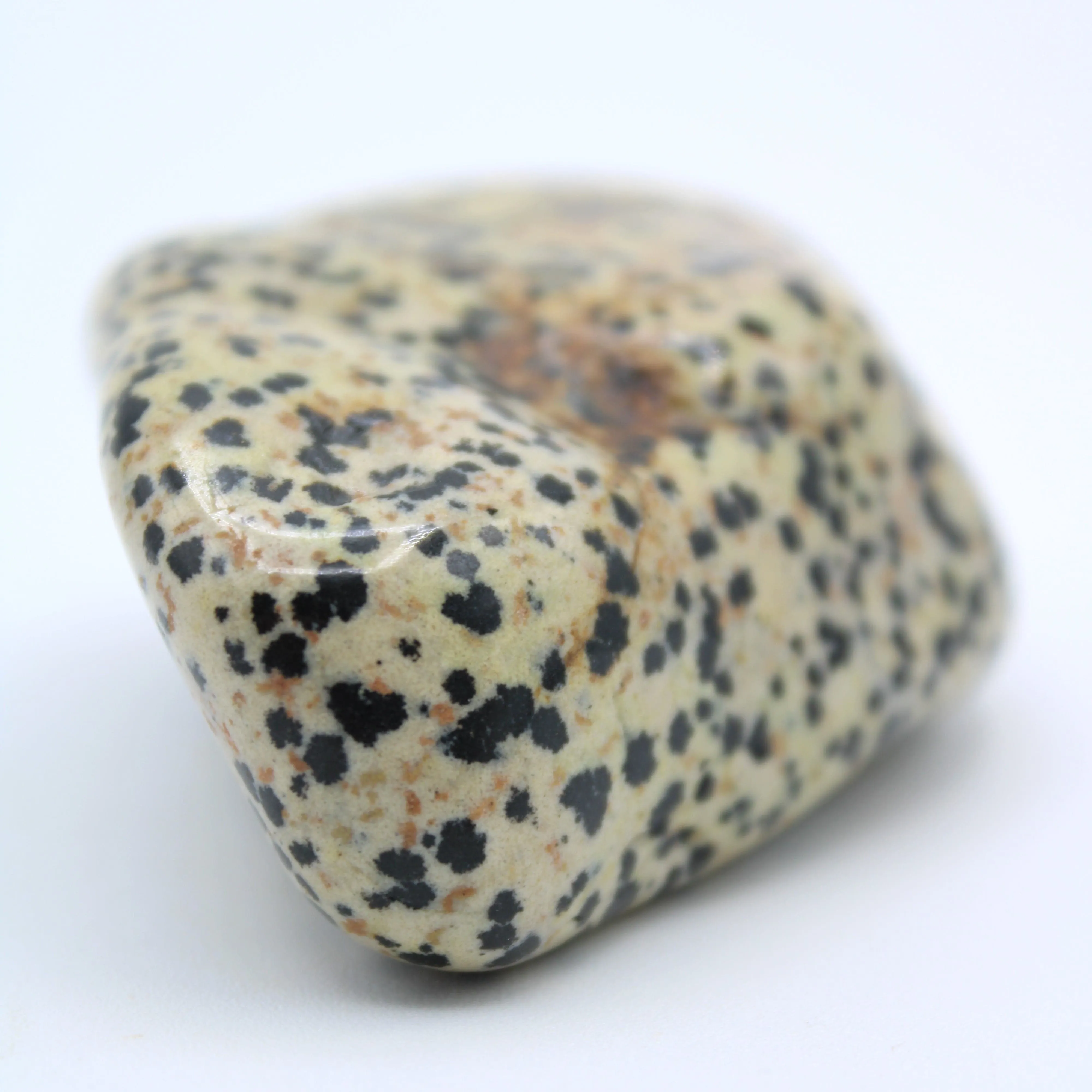 Dalmatian Jasper Free-Form
