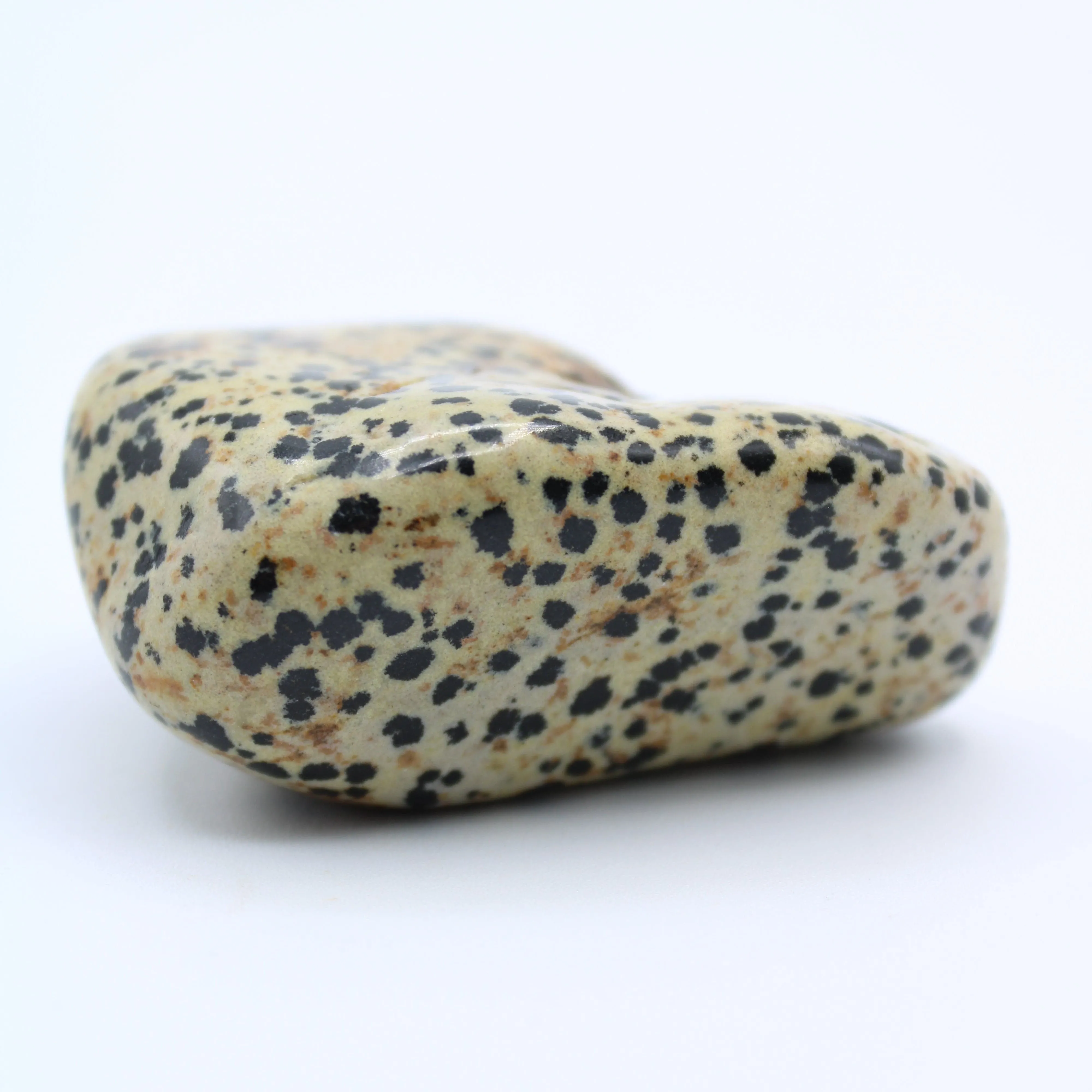 Dalmatian Jasper Free-Form