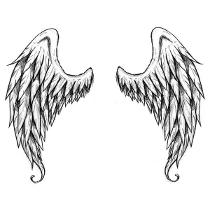 Large Angel Wings