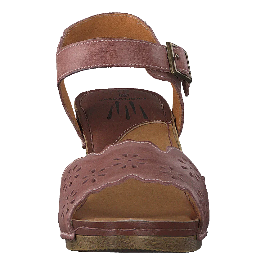 Luciana Pink 16